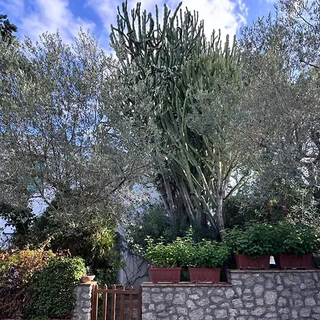 Casetta Dei Cactus Апартаменты Анакапри